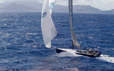 BeeCom and Meanie Share Transpac Top Spots